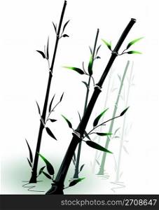 vector bamboo