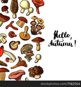 Vector banner, poster hand drawn mushrooms background with place for text illustration. Vector hand drawn mushrooms background with place for text illustration