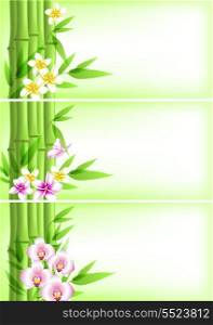 Vector banners with green bamboo and tropical flowers