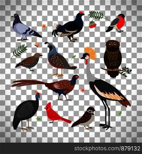 Vector bird icons. Owl and pheasant, bullfinch and crane isolated on transparent background. Birds icons on transparent background