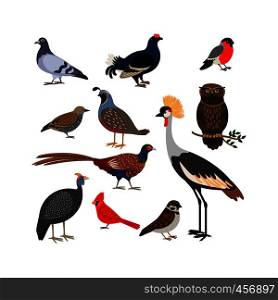 Vector bird isolated icons. Owl and pheasant, bullfinch and crane. Vector bird isolated icons