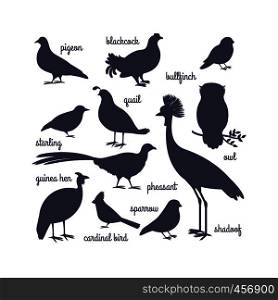 Vector bird silhouettes isolated on white. Owl and pheasant, bullfinch and crane. Vector illustration. Vector bird silhouettes isolated on white