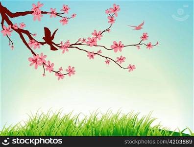 vector birds with floral