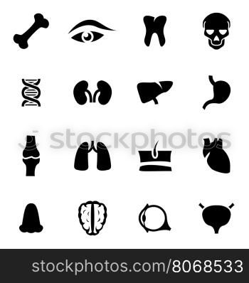 Vector black anatomy icon set. Vector black anatomy icon set on white background