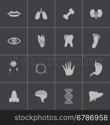Vector black anatomy icons set on grey background. Vector black anatomy icons set