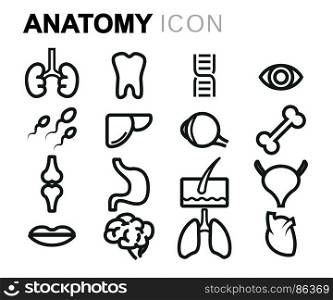 Vector black anatomy icons set. Vector black anatomy icons set on white background