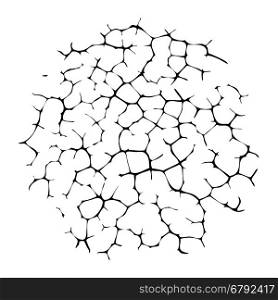 vector black and white cracked wall or desert land background