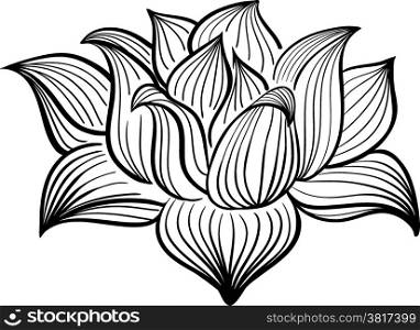 Vector Black and White Lotus flower drawn in sketch style. Line art