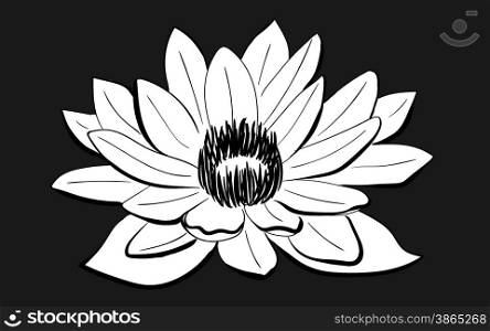 Vector Black and White Lotus flower drawn in sketch style on dark background. Line art