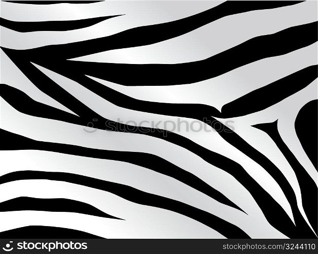 Vector black and white stripped tiger design