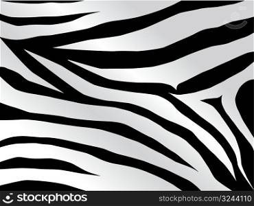 Vector black and white stripped tiger design