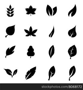 Vector black leaf icon set. Vector black leaf icon set on white background