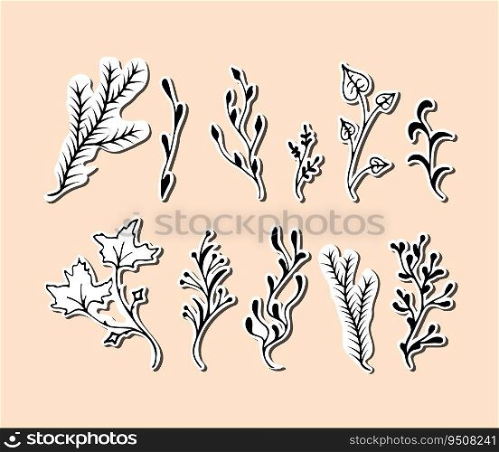 vector black on white stickers Branches. Twigs maple, aspen, coniferous, herb illustration. Hand drawn branches on white background. Design element for natural and organic designs.. vector black on white stickers Branches. Twigs maple, aspen, coniferous, herb illustration.