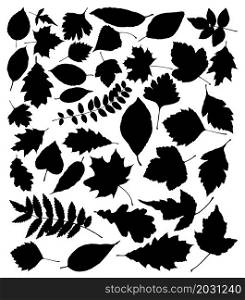 vector black silhouettes of leaves