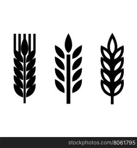 Vector black wheat ear spica icons set. Vector black wheat ear spica icons set on white background