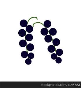 Vector blackcurrant icon isolated on white background