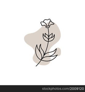 Vector botanical logo template in elegant hand draw and minimal style. Isolated object flower.For badges logotypes and branding