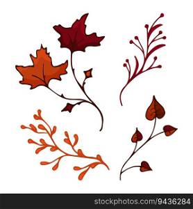Vector branches in autumn colors. Twigs maple, aspen, coniferous, herbs. Vector illustration. Hand drawn branches on white background. Design element for natural and organic designs.. Vector branches in autumn colors. Twigs maple, aspen, coniferous, herbs. Vector illustration