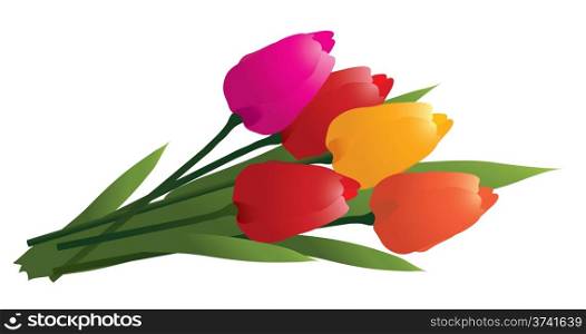 vector bunch of pink, red, orange and yellow tulips