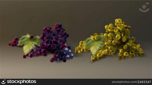 Vector bunch of red and white grapes. Fresh autumn fruit isolated on background. Bunch of grapes