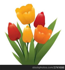 vector bunch of red, orange and yellow tulips
