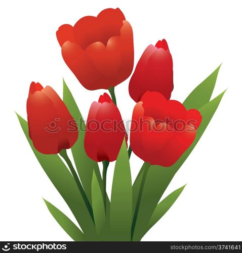 vector bunch of red tulips