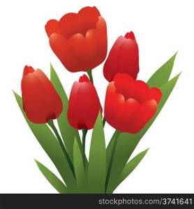 vector bunch of red tulips
