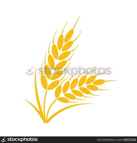 vector bunch of wheat or rye ears with whole grain and leaves, yellow crop harvest symbol or icon isolated on white background
