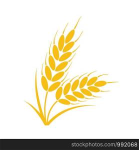 vector bunch of wheat or rye ears with whole grain and leaves, yellow crop harvest symbol or icon isolated on white background