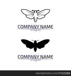 Vector Butterfly conceptual simple colorful icon Logo Vector Animal