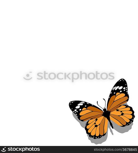 Vector. Butterfly on paper 11