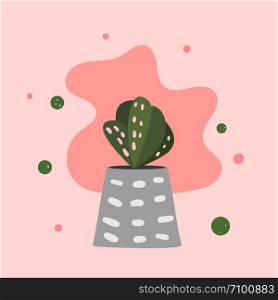 Vector cactus design card. Houseplant composition in doodle style.