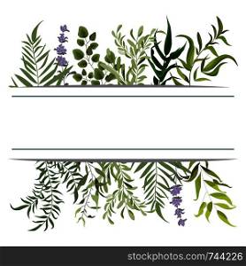 Vector card floral design with green watercolor fern leaves tropical forest greenery herbs decorative frame, border. Elegant beauty cute greeting, wedding invite, postcard template.