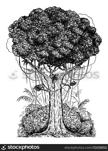 Vector carton digital pen and ink illustration of generic tree and bushes from rain forest.. Vector Cartoon Drawing Illustration of Generic Tree and Bushes from Rain Forest