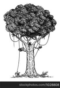Vector carton digital pen and ink illustration of tree from rain forest.. Vector Cartoon Drawing Illustration of Tree from Rain Forest