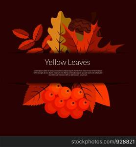 Vector cartoon autumn elements and leaves background with place for text illustration. Vector cartoon autumn elements and leaves banner