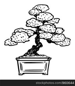 Vector cartoon drawing conceptual illustration of pine bonsai tree.. Vector Cartoon Illustration of Bonsai Pine Tree