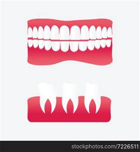 Vector cartoon false teeth, White false teeth, False teeth prosthetic isolated on white background, Dental technology vector. False teeth vector illustration.
