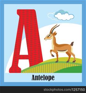 Vector cartoon flashcards of animal alphabet, letter A. Colorful cartoon illustration of letter and antelope vector character. Bright colors zoo wildlife illustration. Cute flat cartoon style. Stock illustration.