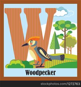 Vector cartoon flashcards of animal alphabet, letter W. Colorful cartoon illustration of letter W and woodpecker vector character. Bright colors zoo wildlife illustration. Cute flat cartoon style. Stock illustration.