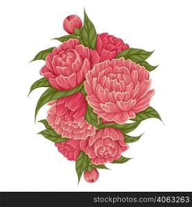 Vector cartoon illustration of bush with peony flowers with foliage on white background. Image of natural floral bouquet isolated from background. Botany clipart for banner and card. Vector cartoon illustration of bush with peony flowers with foliage on white background. Image of natural floral bouquet