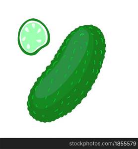 Vector Cartoon Whole and Slice Green Cucumber Isolated on White Background.. Cartoon Whole and Slice Green Cucumber Isolated on White Background.