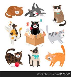 Vector cats. Simple cute cartoon drawing different cat collection isolated on white, sleeping and siamese, funny and black pet cats. Cartoon cats isolated on white