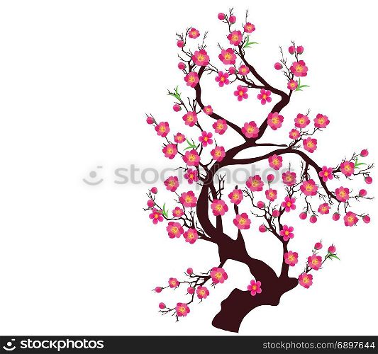 Vector Cherry blossom for Chinese New Year and lunar new year
