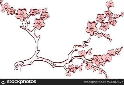 vector cherry blossom spring branch. japanese style