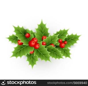 Vector Christmas holly with berries. EPS 10