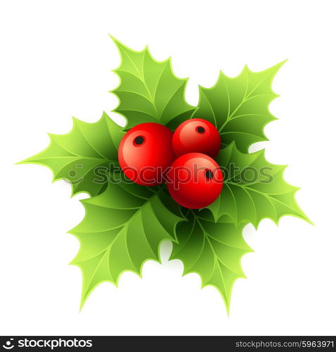 Vector Christmas holly with berries. Vector illustration. Vector Christmas holly with berries. Vector illustration EPS 10