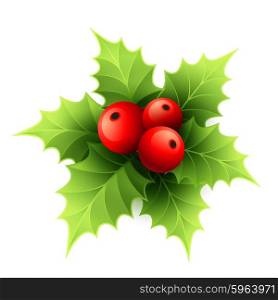 Vector Christmas holly with berries. Vector illustration. Vector Christmas holly with berries. Vector illustration EPS 10