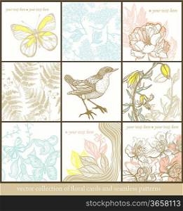 vector collection of floral cards and floral seamless patterns