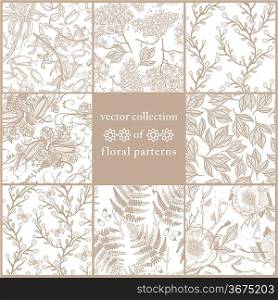 vector collection of floral seamless patterns